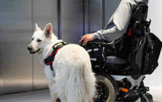 Service dog and person in wheelchair in front of an elevator.